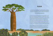 Tree Lore