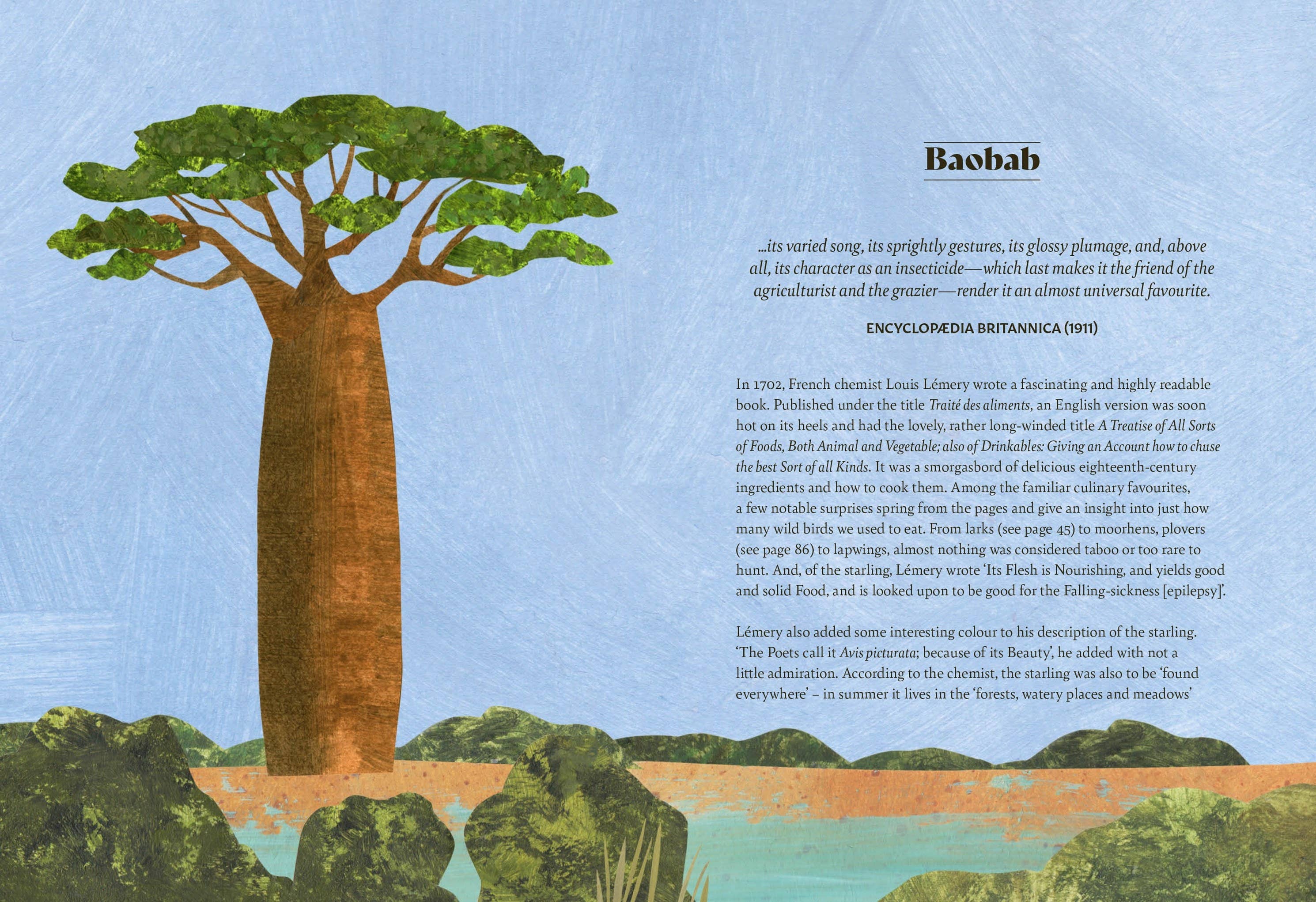 Tree Lore