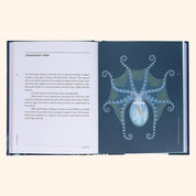 Sea Wonders