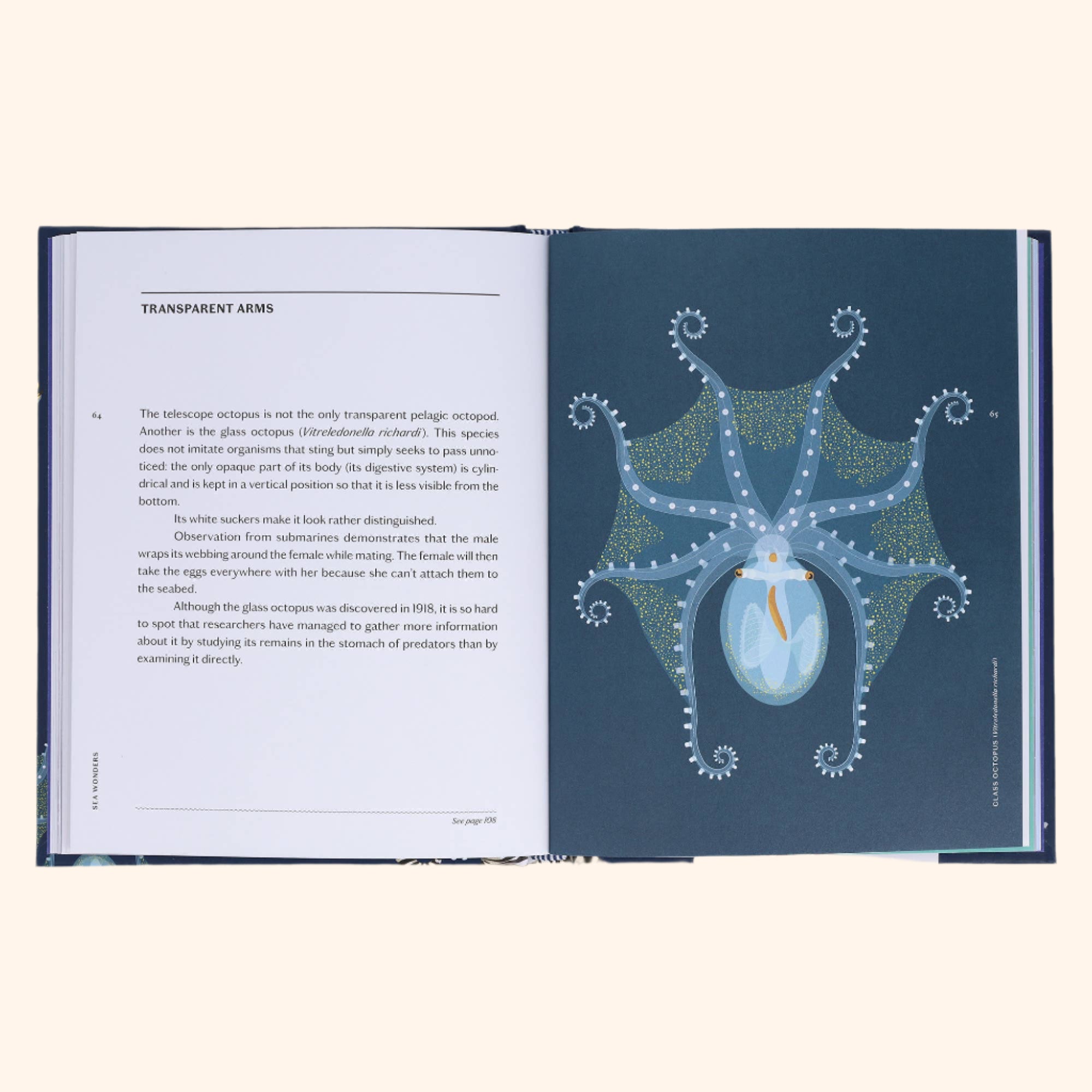 Sea Wonders