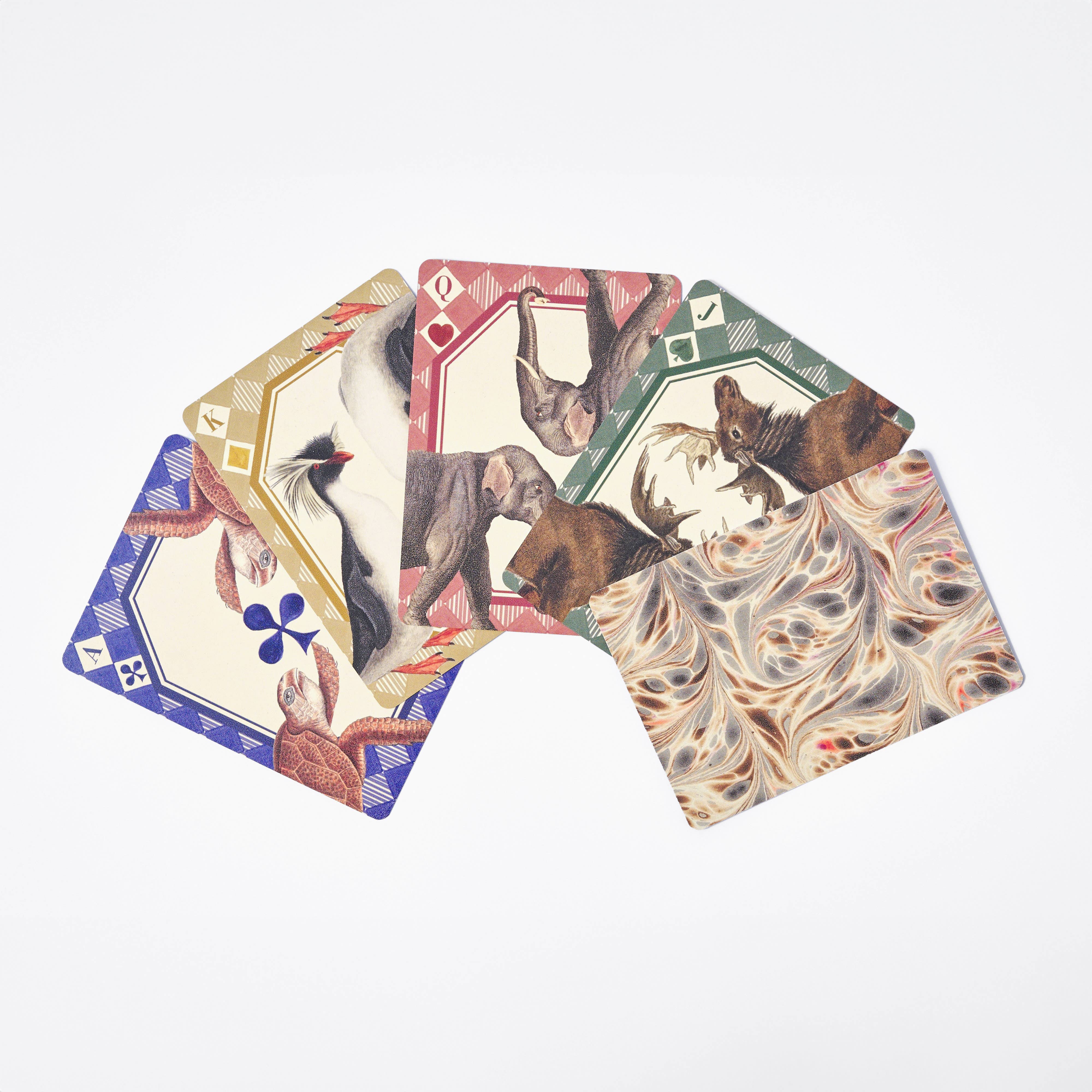 Animal Kingdom Single Playing Card Deck