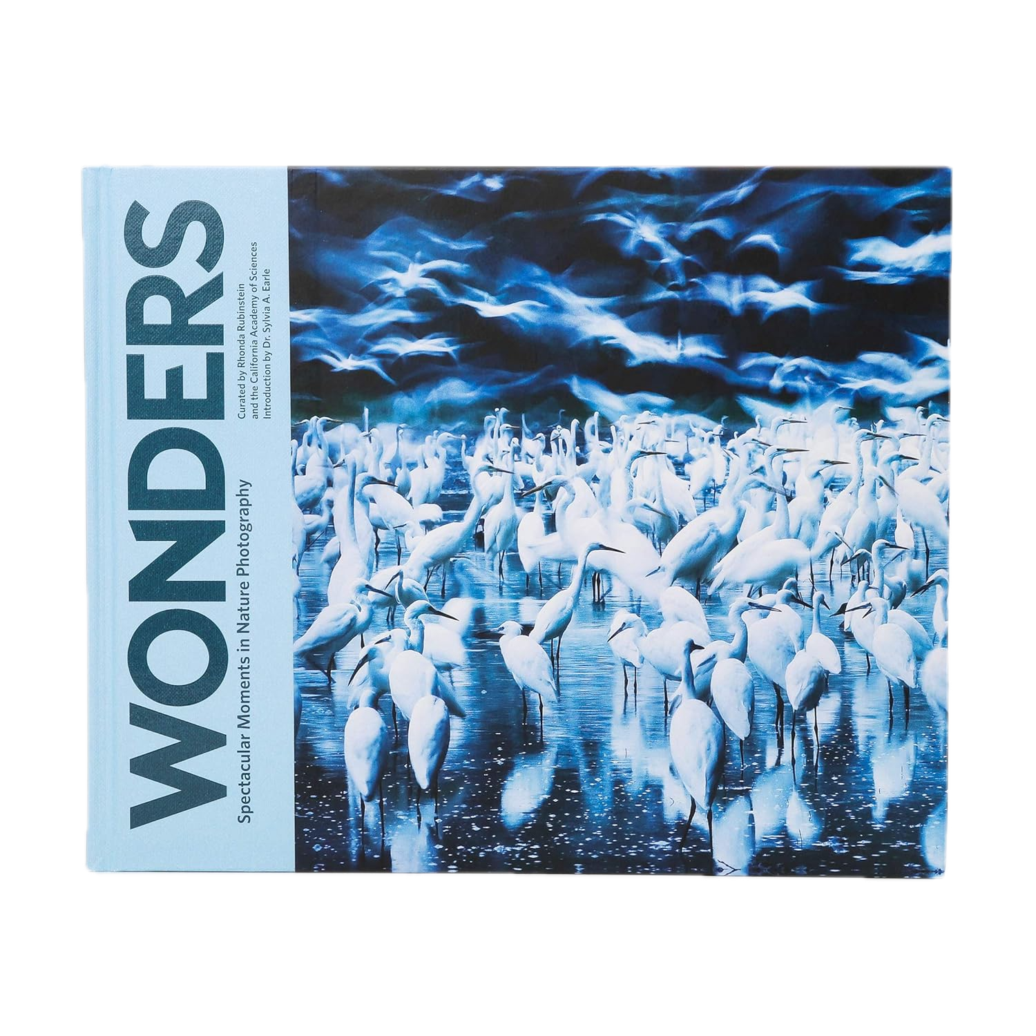 Wonders