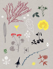 Paper Book for Nature Lovers