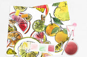 Citrus Fruits Watercolor Painting Kit