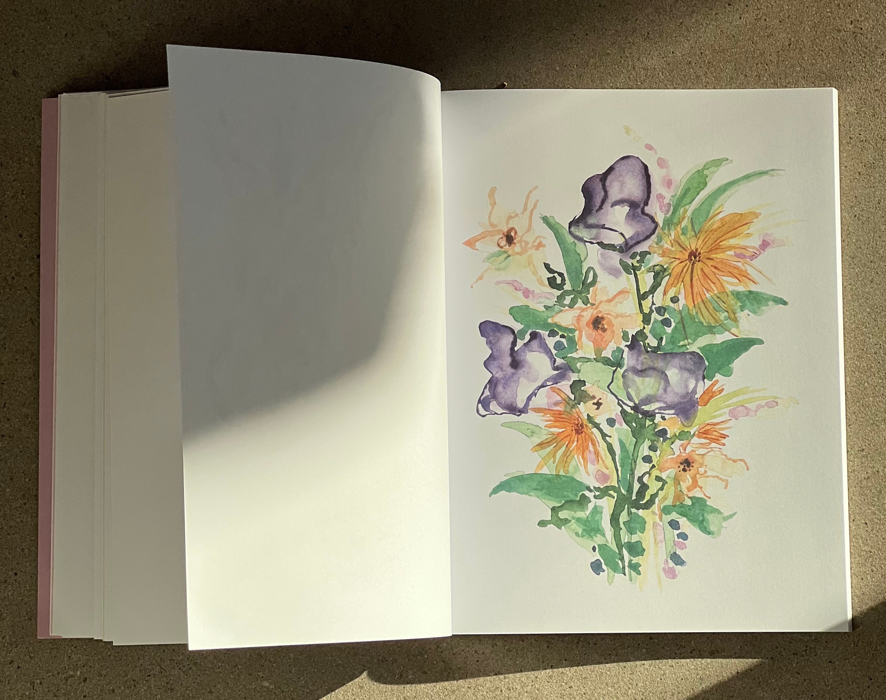 Through the Seasons | The Reverse Coloring Book