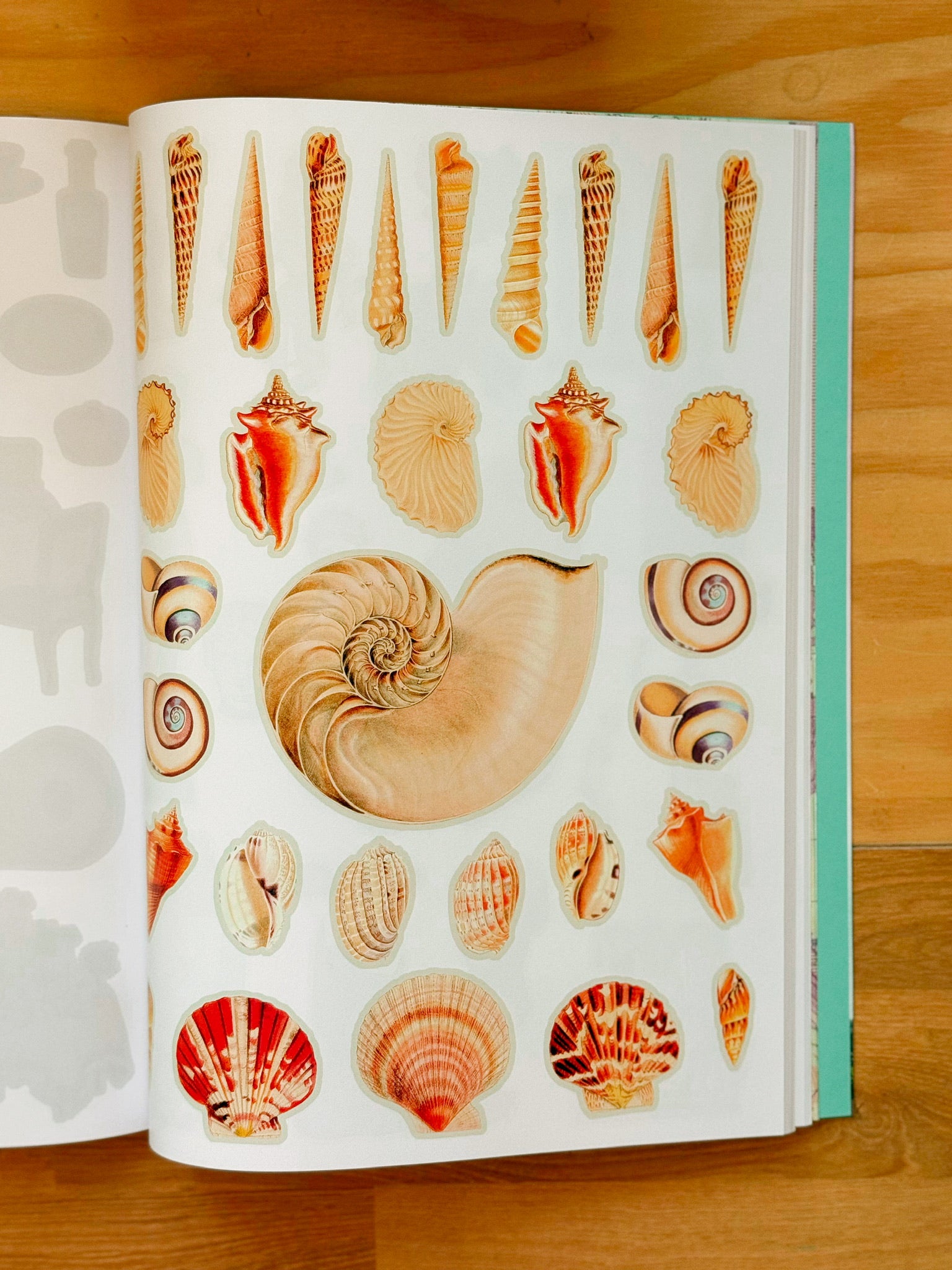 Cut Up This Book and Create Your Own Extraordinary Places