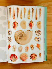 Cut Up This Book and Create Your Own Extraordinary Places