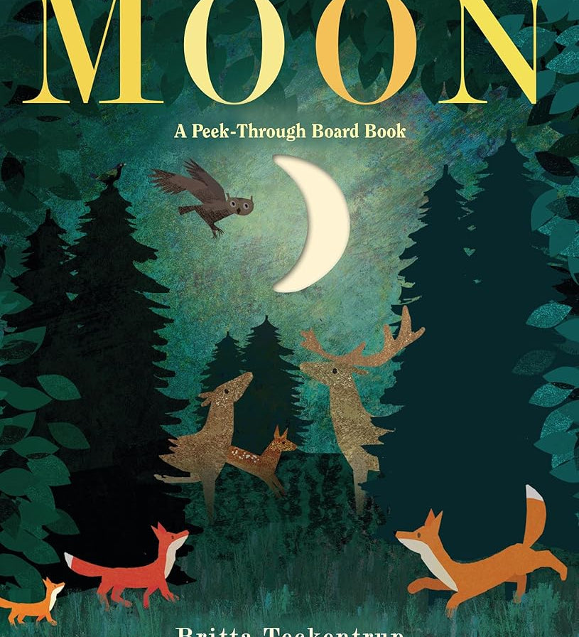 Moon: A Peek-Through Board Book cover image