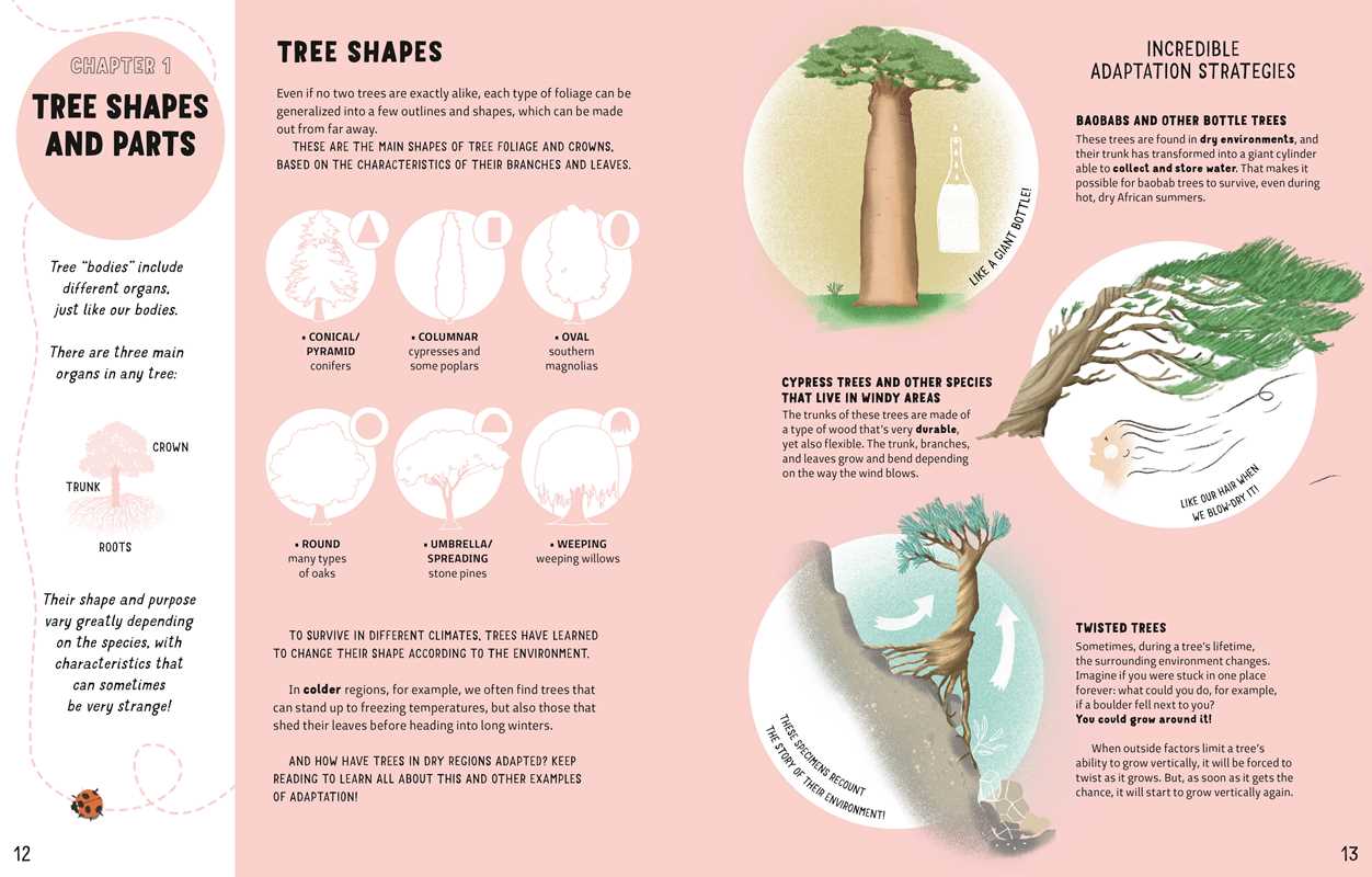 The Secrets of Trees by Massimo Novellino