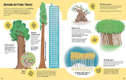The Secrets of Trees by Massimo Novellino