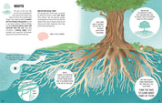 The Secrets of Trees by Massimo Novellino