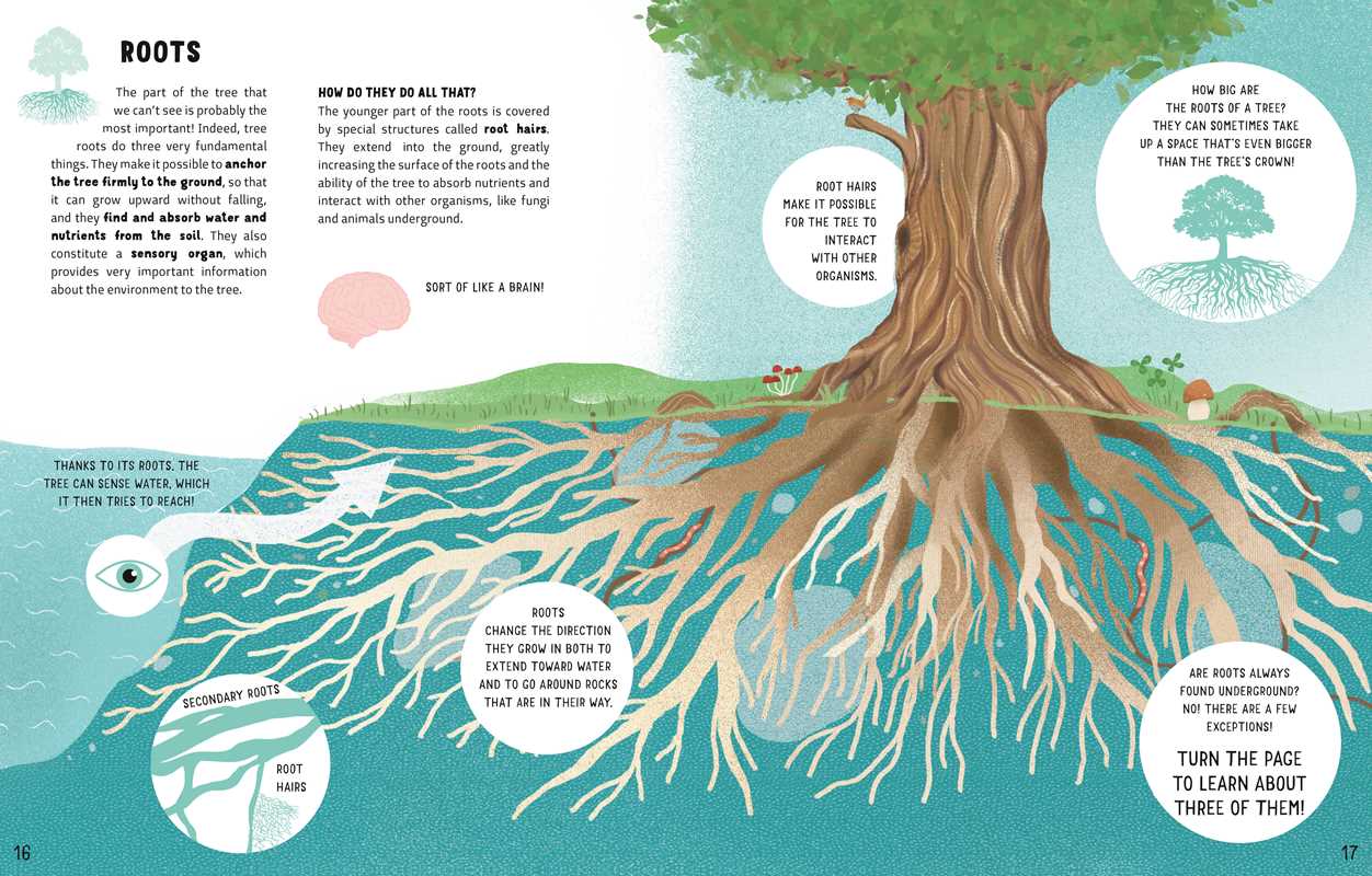 The Secrets of Trees by Massimo Novellino