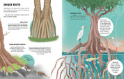 The Secrets of Trees by Massimo Novellino