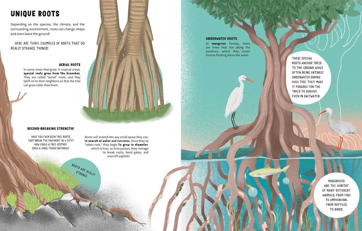 The Secrets of Trees by Massimo Novellino