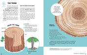 The Secrets of Trees by Massimo Novellino