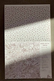 Brown Bear Wood: A Search-and-Find | Coloring Book