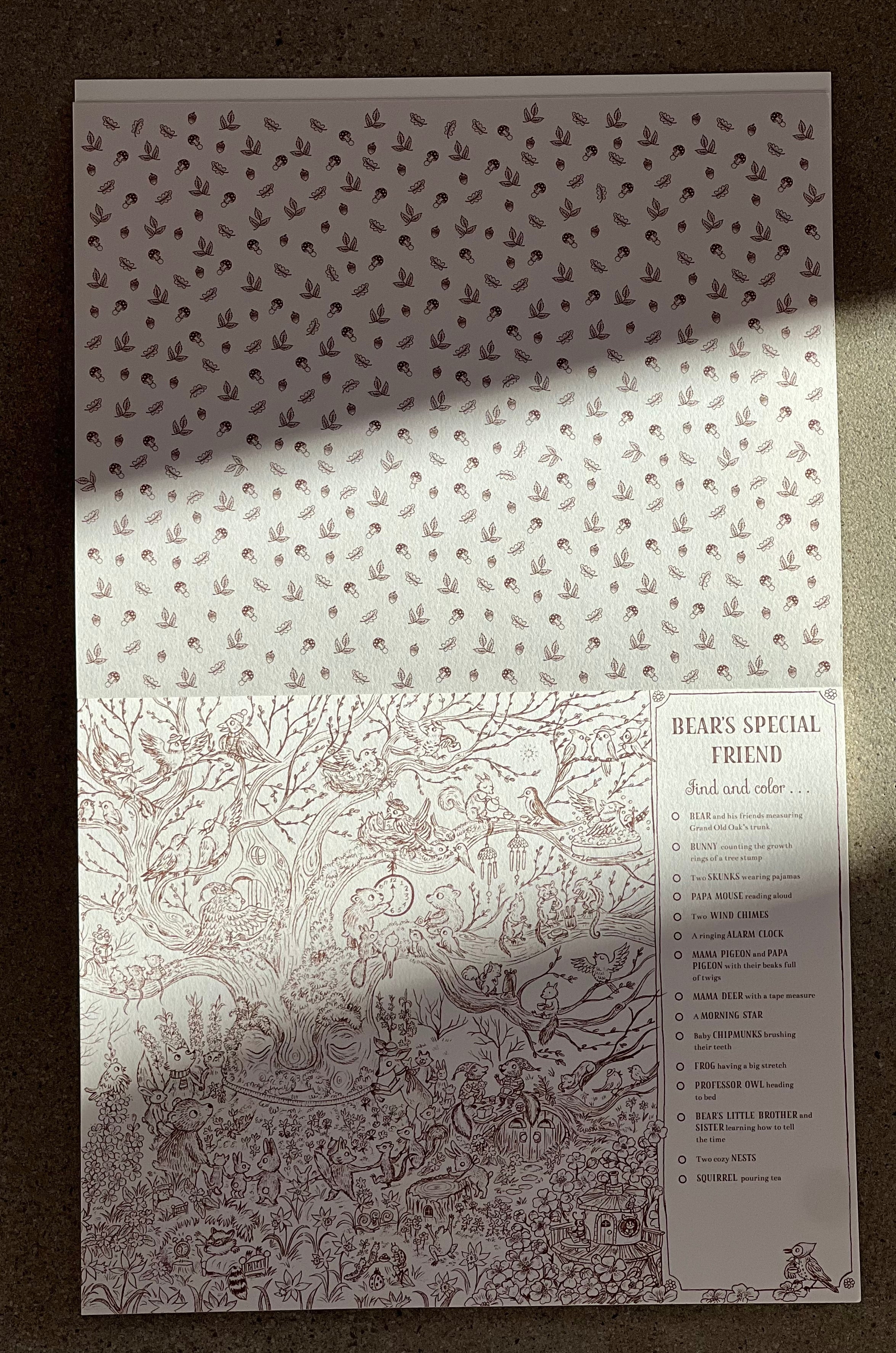 Brown Bear Wood: A Search-and-Find | Coloring Book