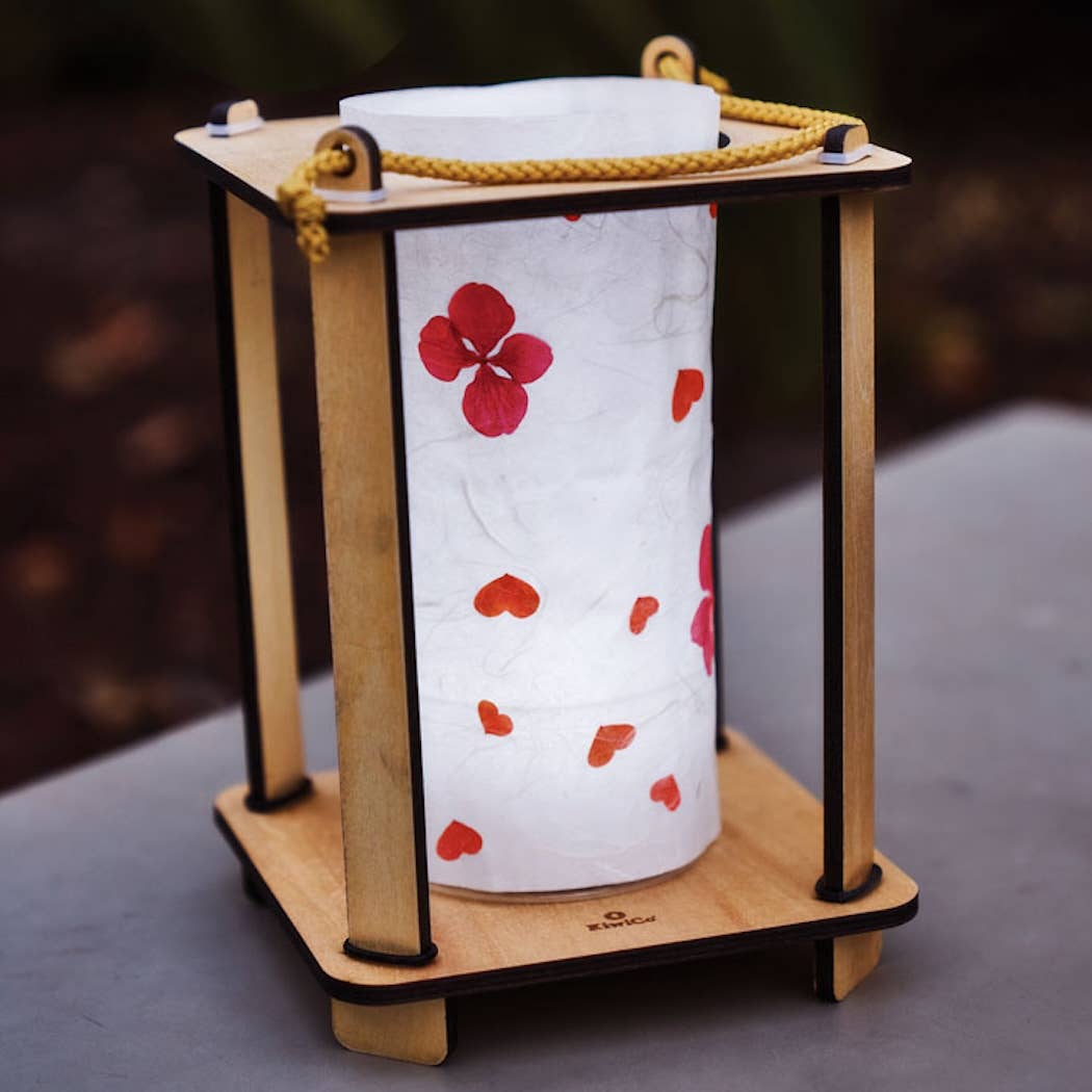 Nature Walk Lantern Science Kit for Kids