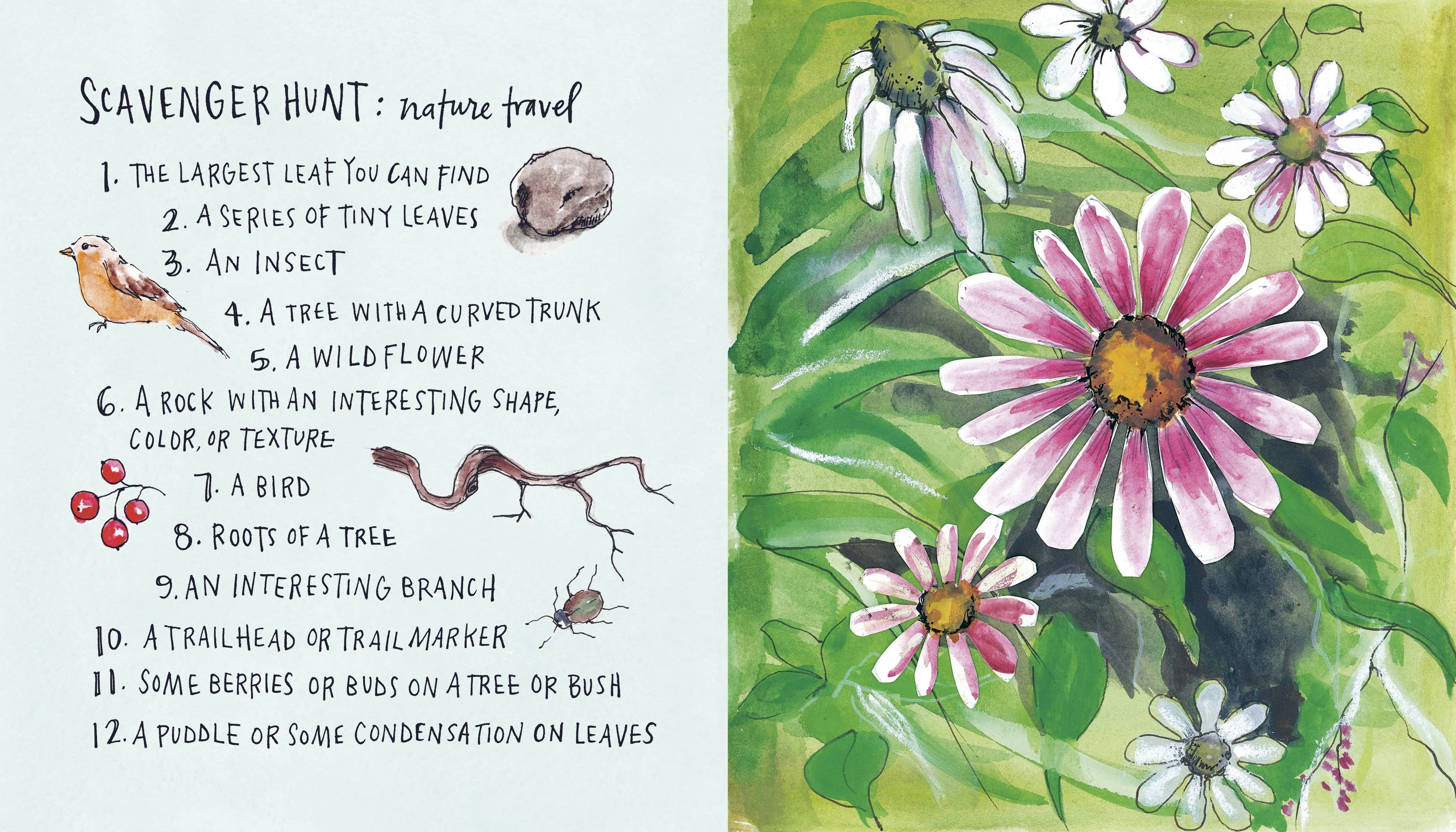 Draw Your Adventures