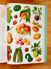 Cut Up This Book and Create Your Own Extraordinary Places