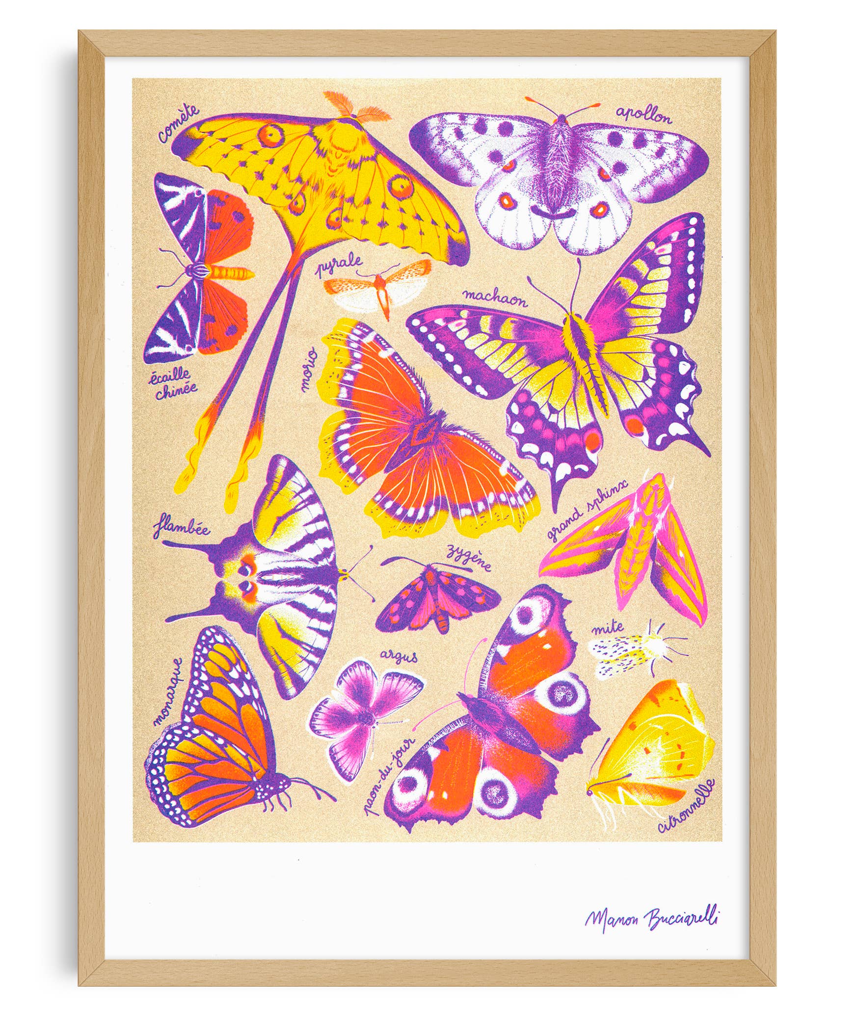 Butterflies A3 Poster - Manon Bucciarelli
