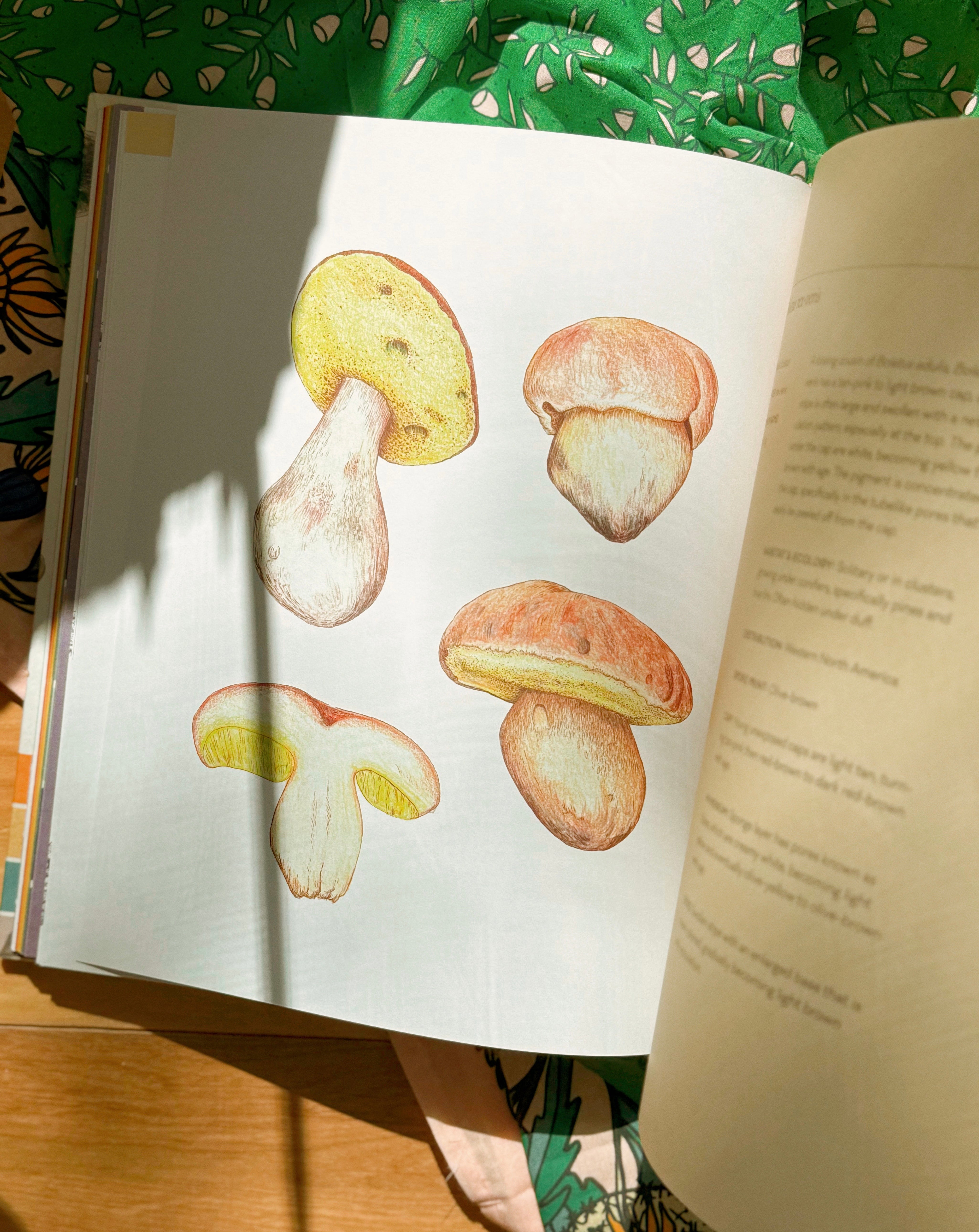 Mushroom Color Atlas