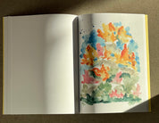 The Reverse Coloring Book