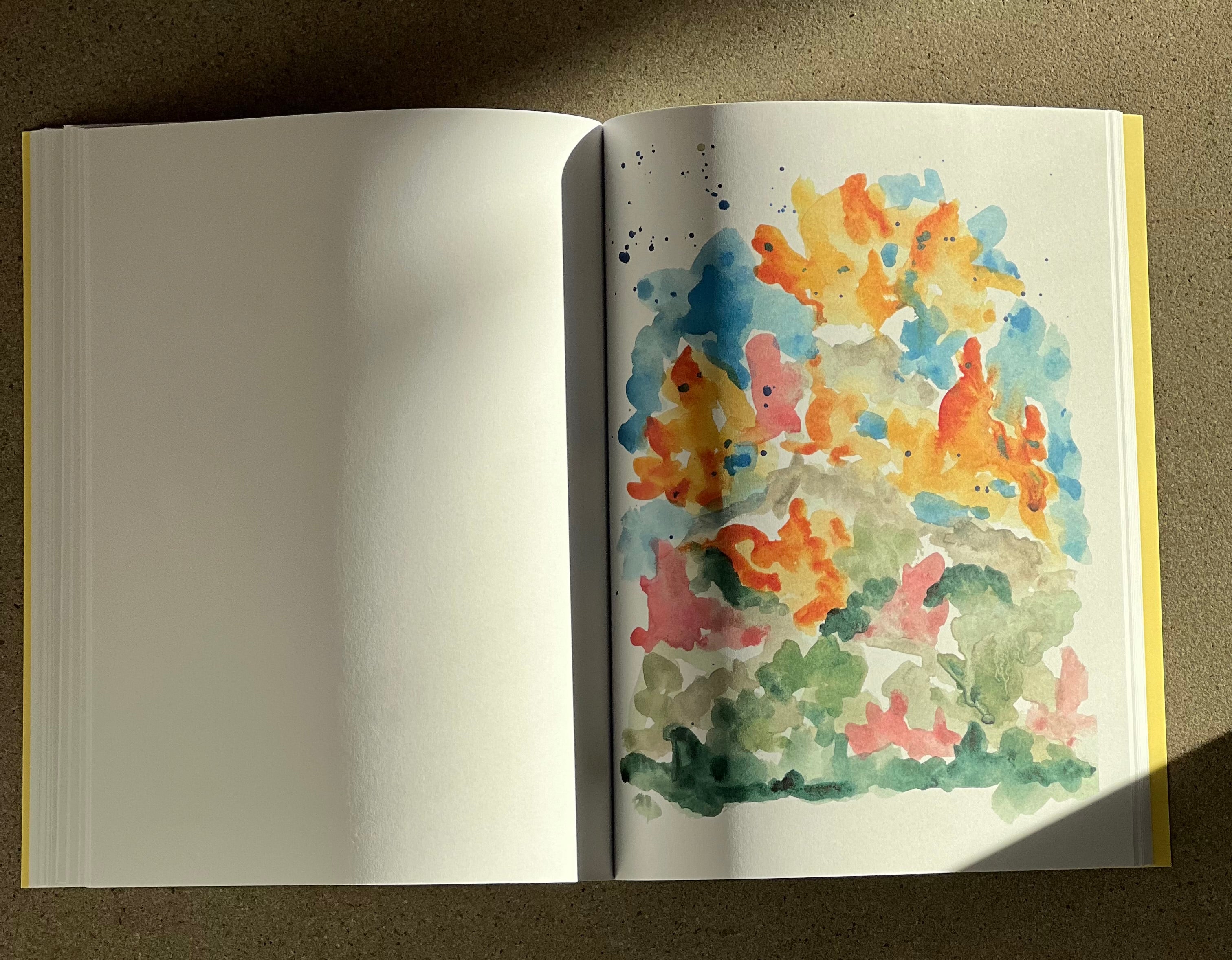 The Reverse Coloring Book