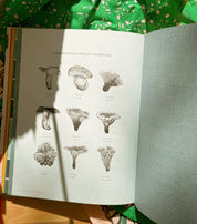 Mushroom Color Atlas