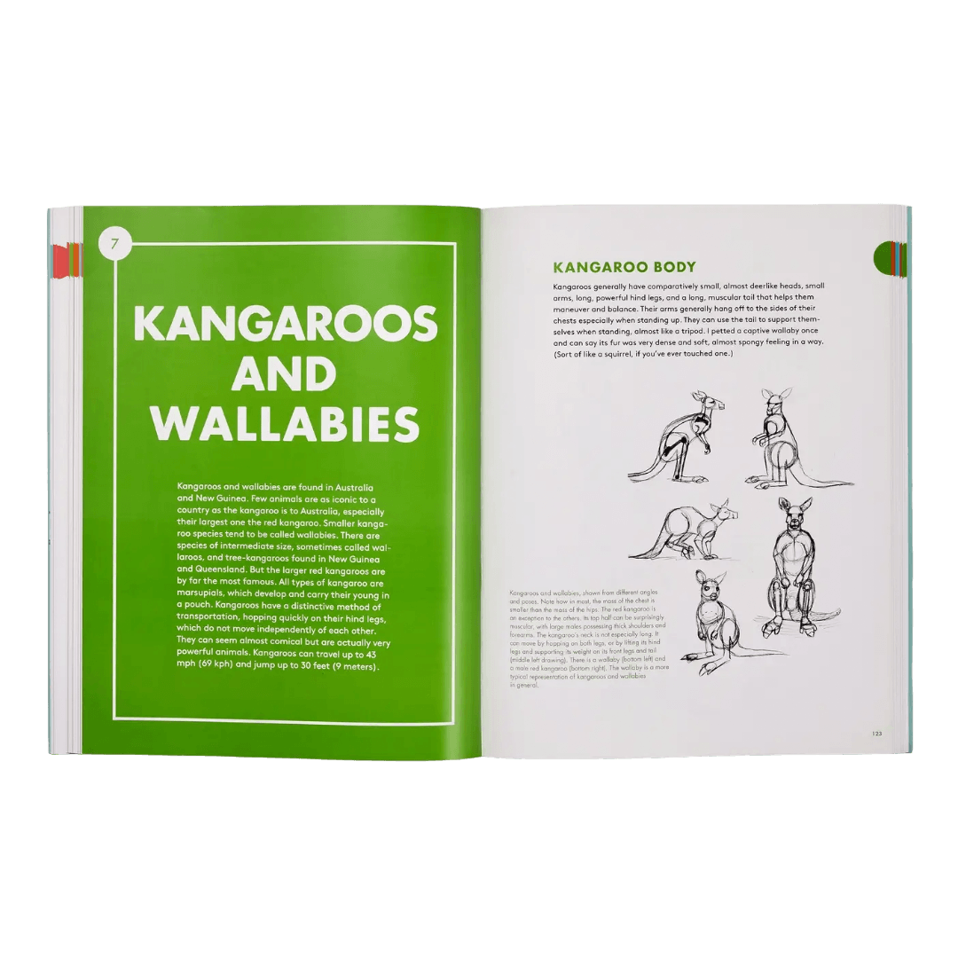 Open book showing information about kangaroos and wallabies with illustrations on white and bright green pages.