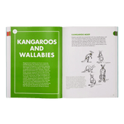 Open book showing information about kangaroos and wallabies with illustrations on white and bright green pages.
