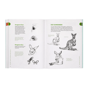 Open book showing illustrations and text about kangaroos on white pages.