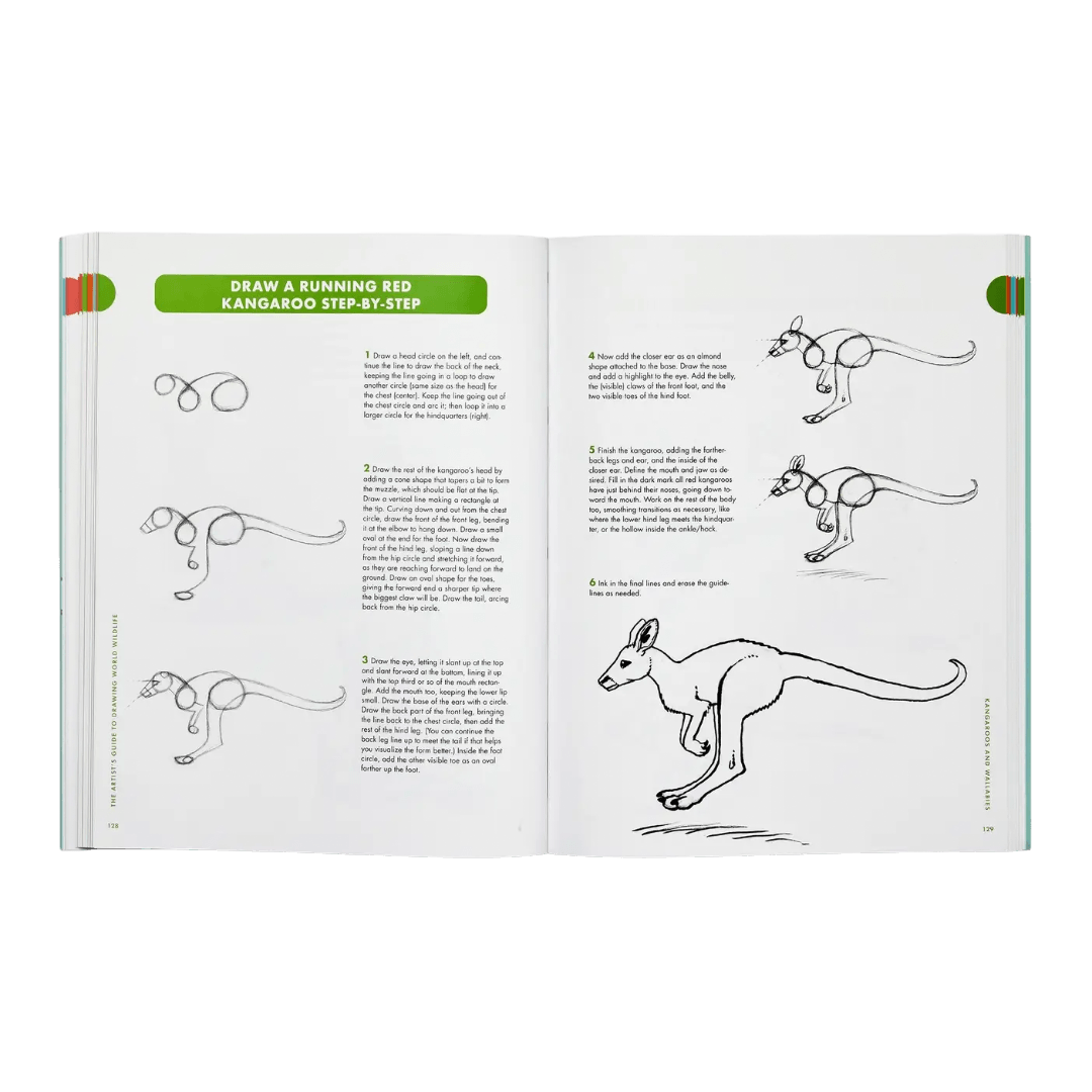 Open book showing a drawing tutorial of a kangaroo with step-by-step instructions.