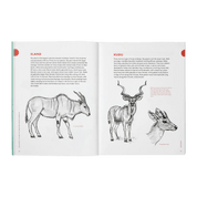Open book showing illustrations of eland and kudu with text on white pages.