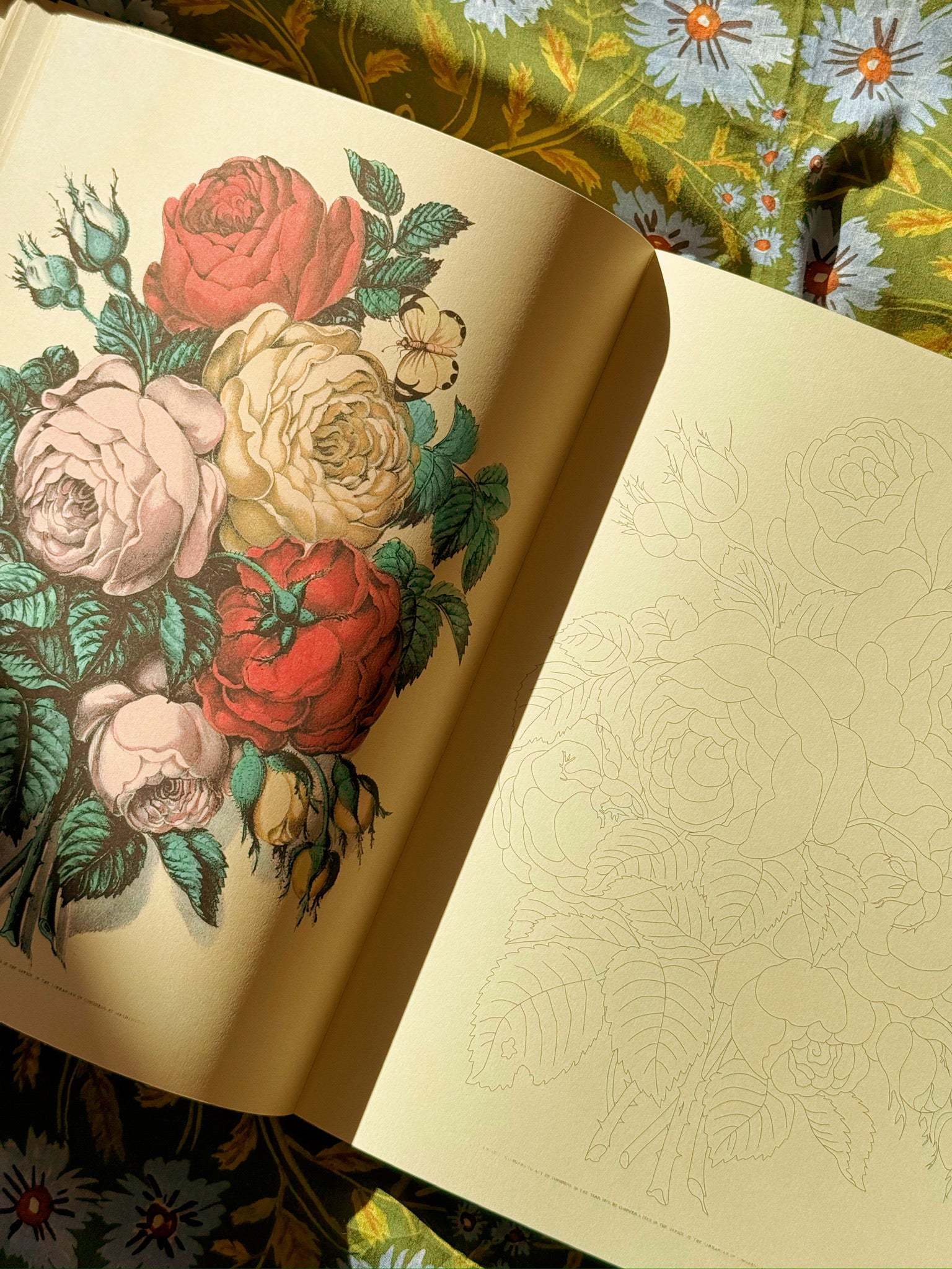 John Derian Colouring Book: Flowers