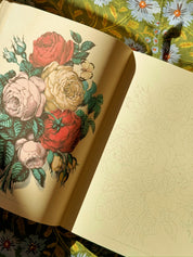 John Derian Colouring Book: Flowers