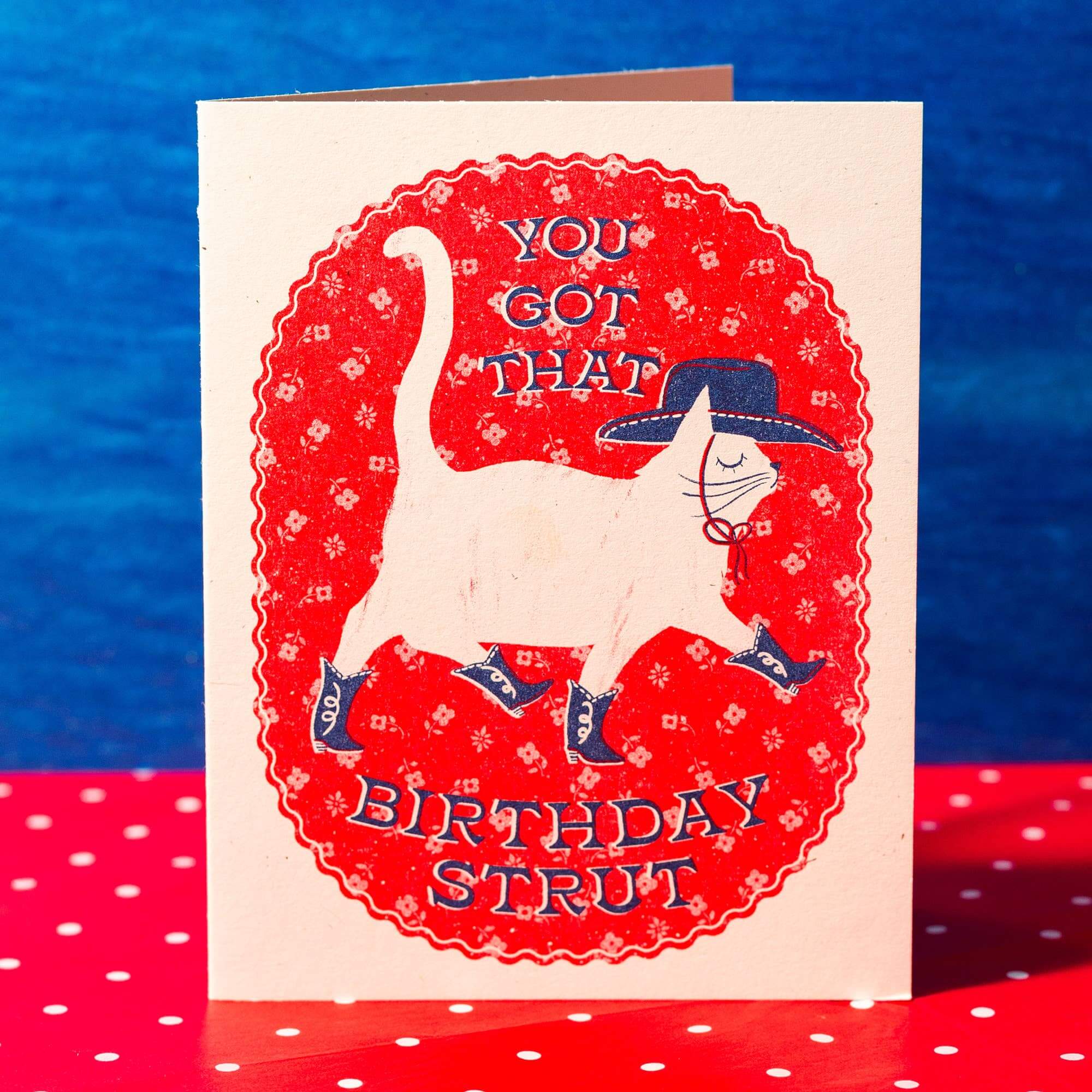 Birthday card with a cat illustration and text on a blue and red background