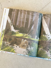 The Keeper of Wild Words by Brooke Smith