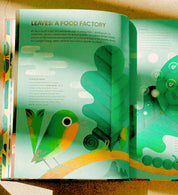 I Ate Sunshine for Breakfast