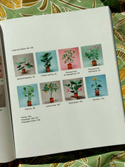 The Kew Book of Paper Gardens: 50 Botanical Paper Projects to Make