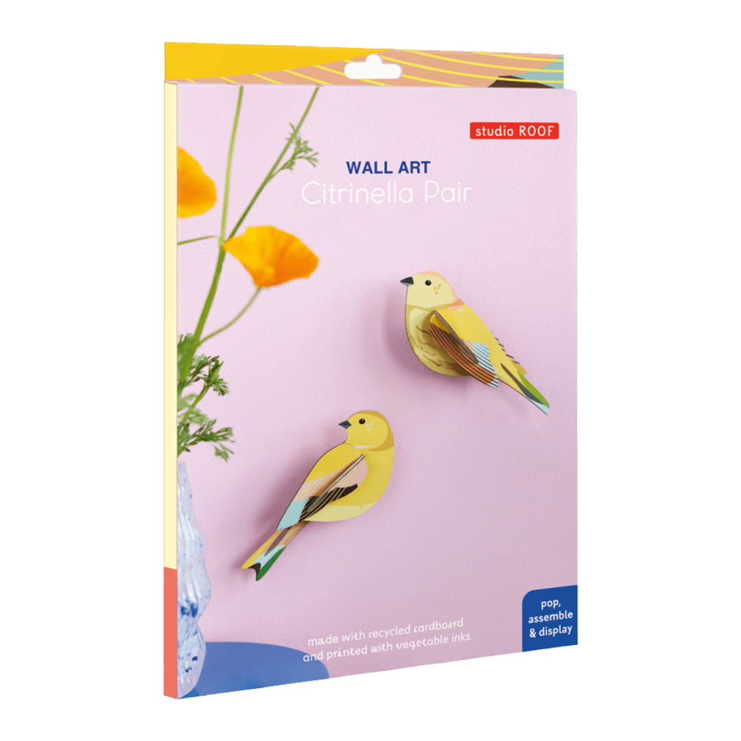 Packaged wall art with yellow birds and flowers on a pink background