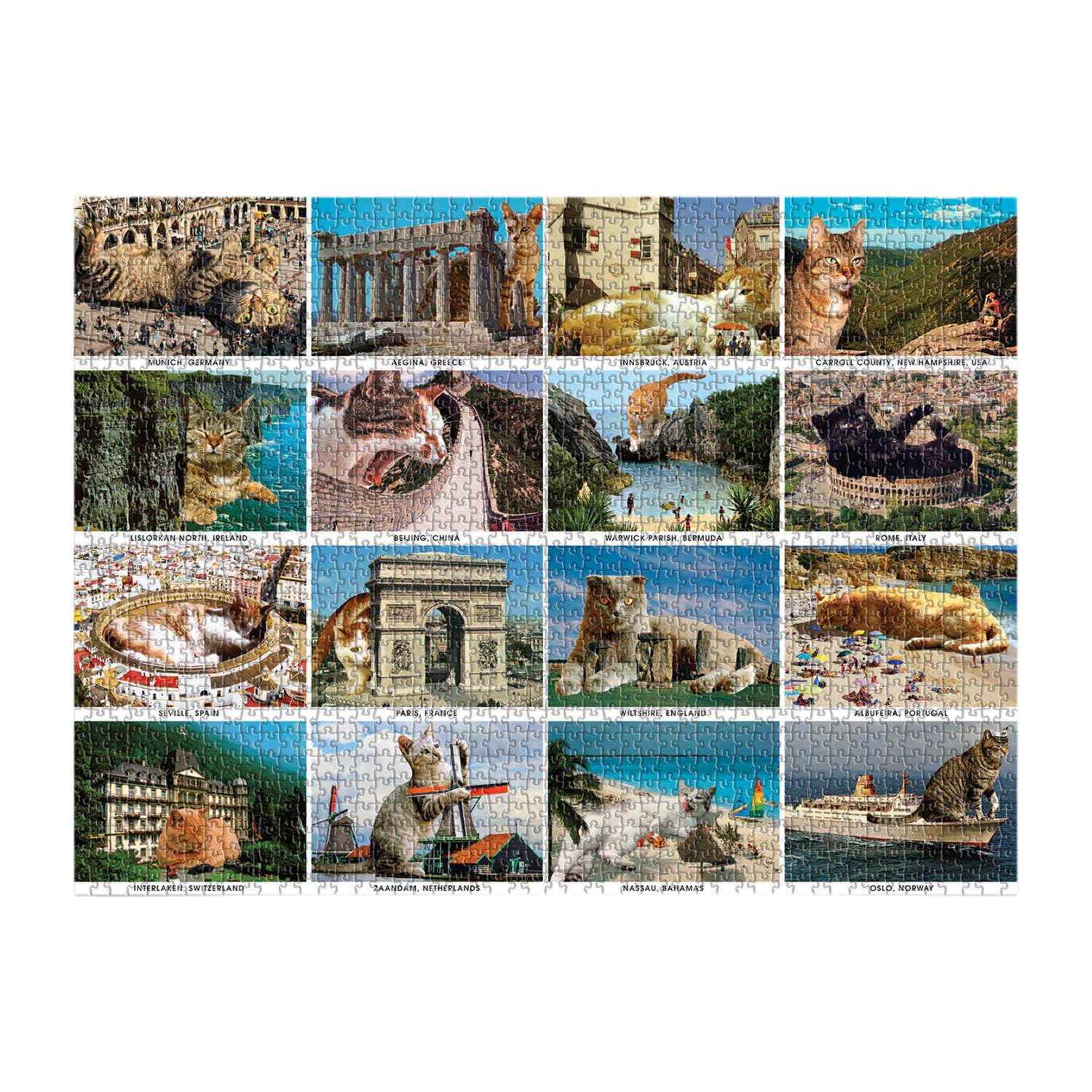 Vacation Cats 1500 Piece Puzzle