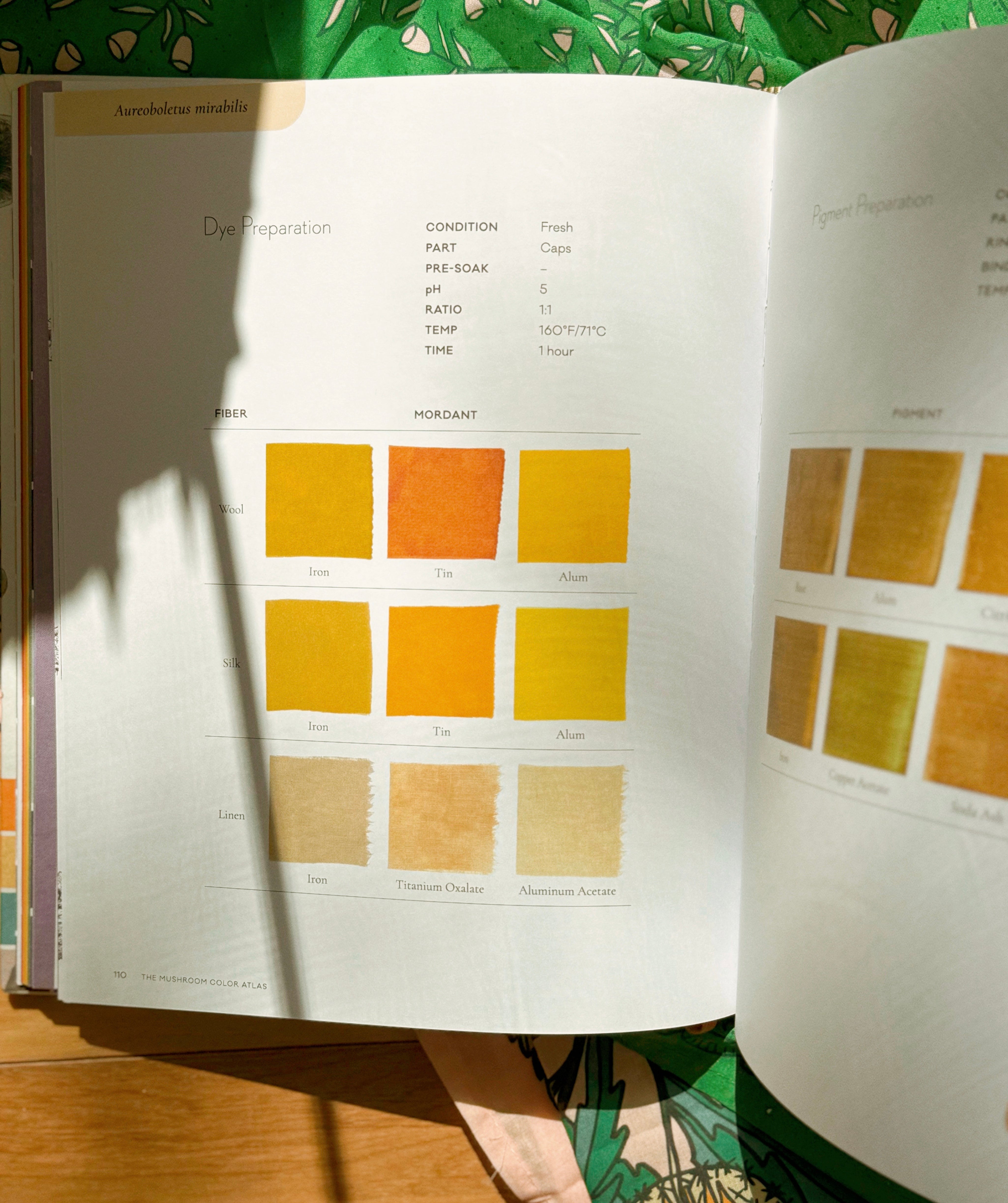 Mushroom Color Atlas