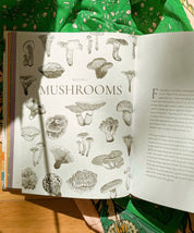 Mushroom Color Atlas