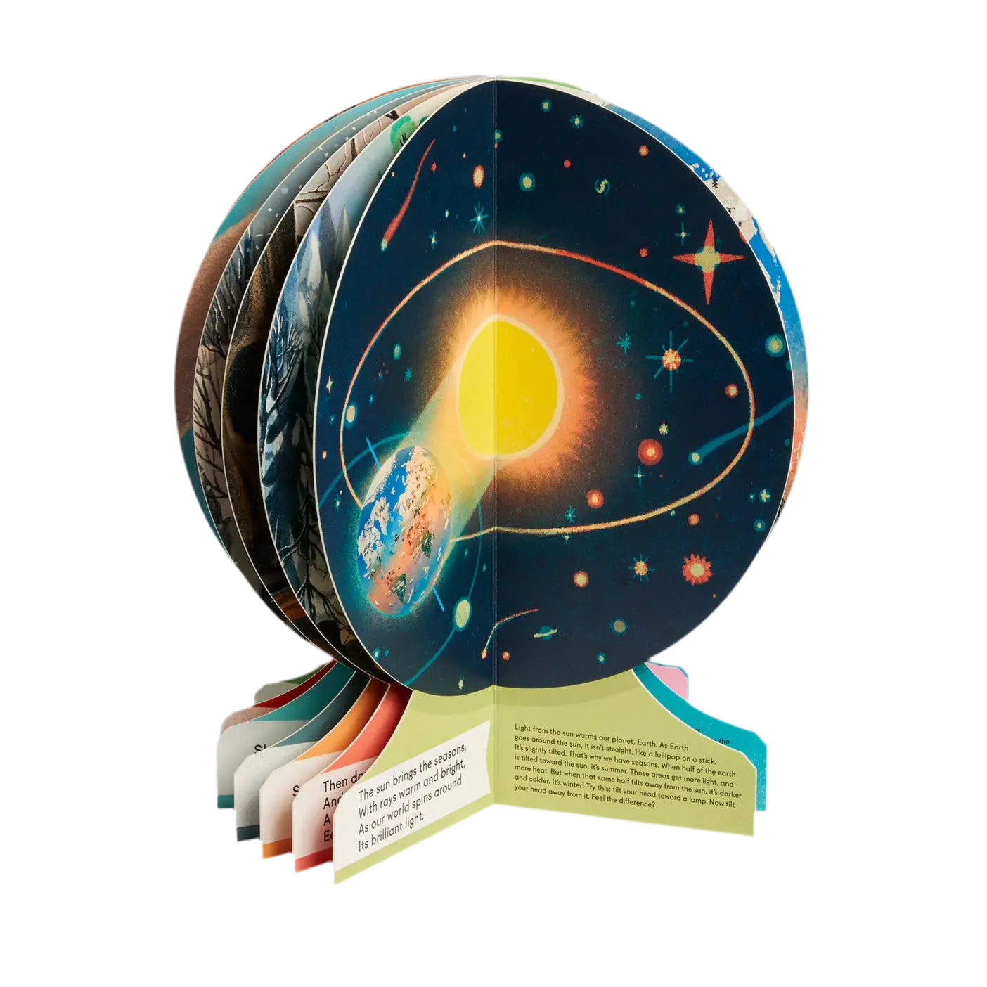 Our Seasons: The World In Winter, Spring, Summer, And Autumn