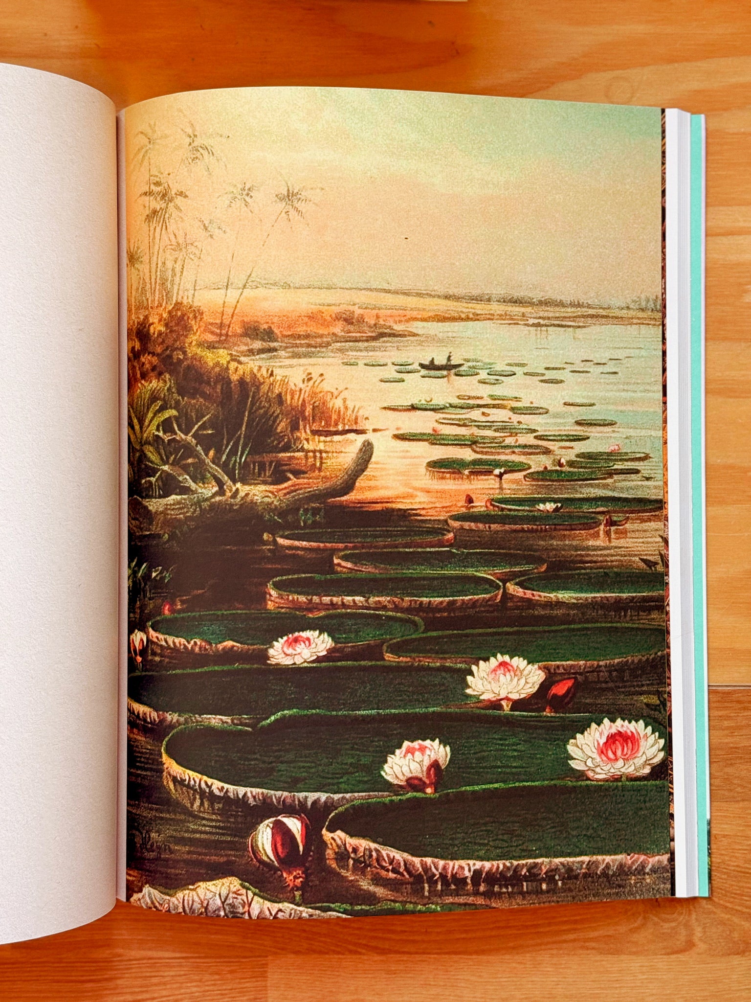 Cut Up This Book and Create Your Own Extraordinary Places