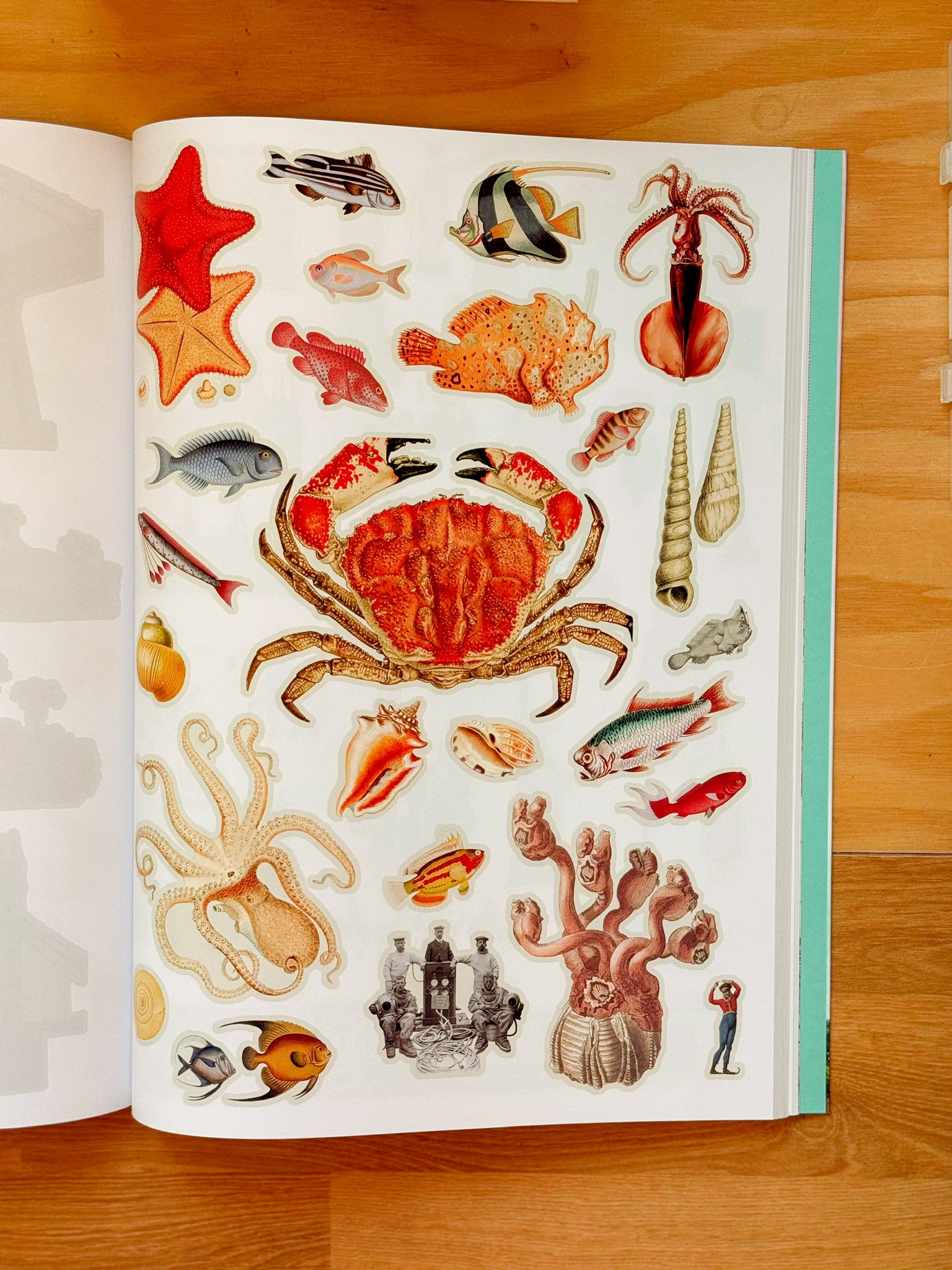 Cut Up This Book and Create Your Own Extraordinary Places