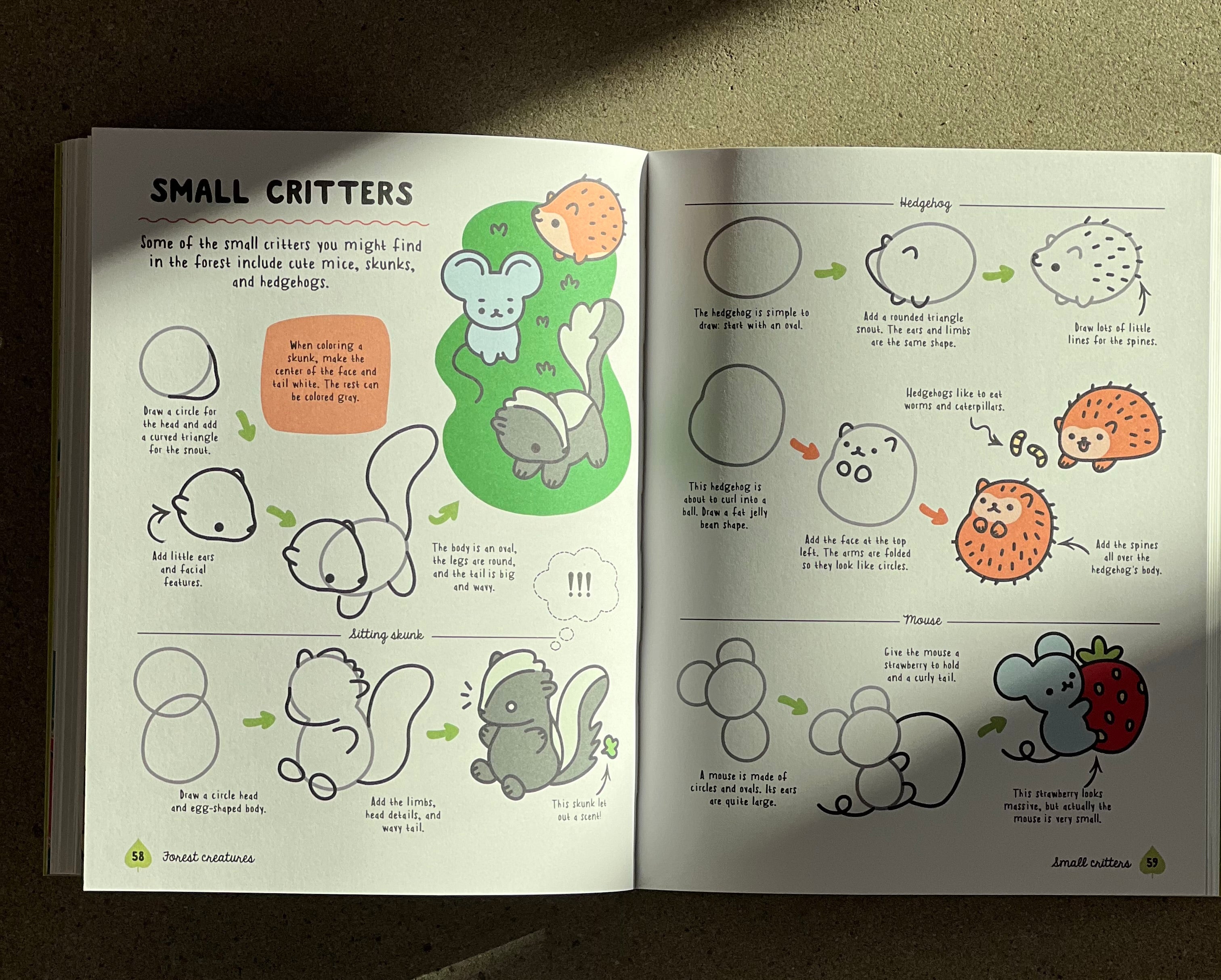 How to Draw Cute Woodland Friends