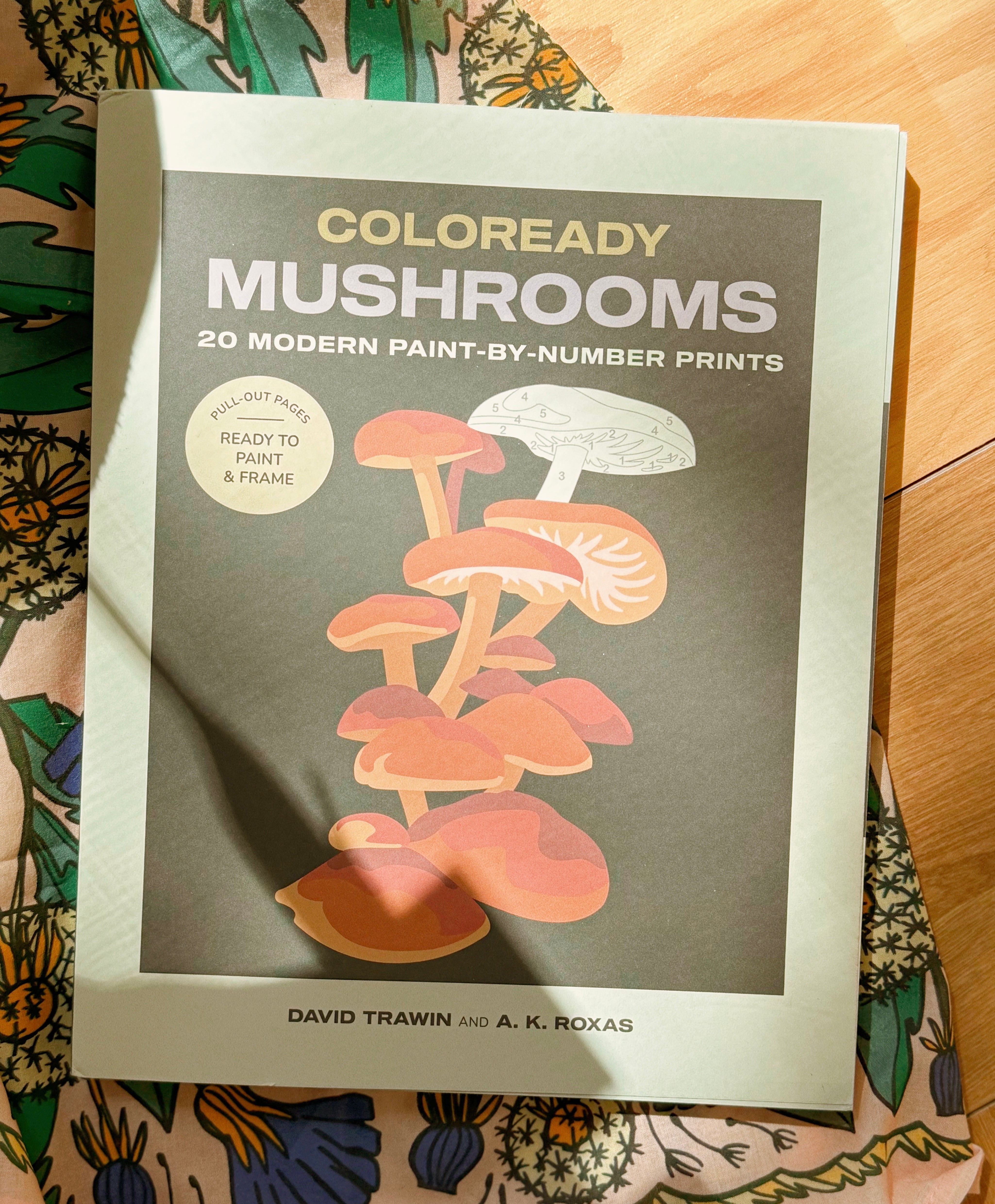 Coloready Mushrooms
