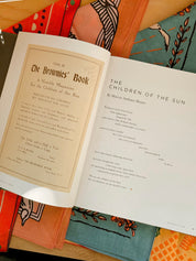 New Brownies' Book